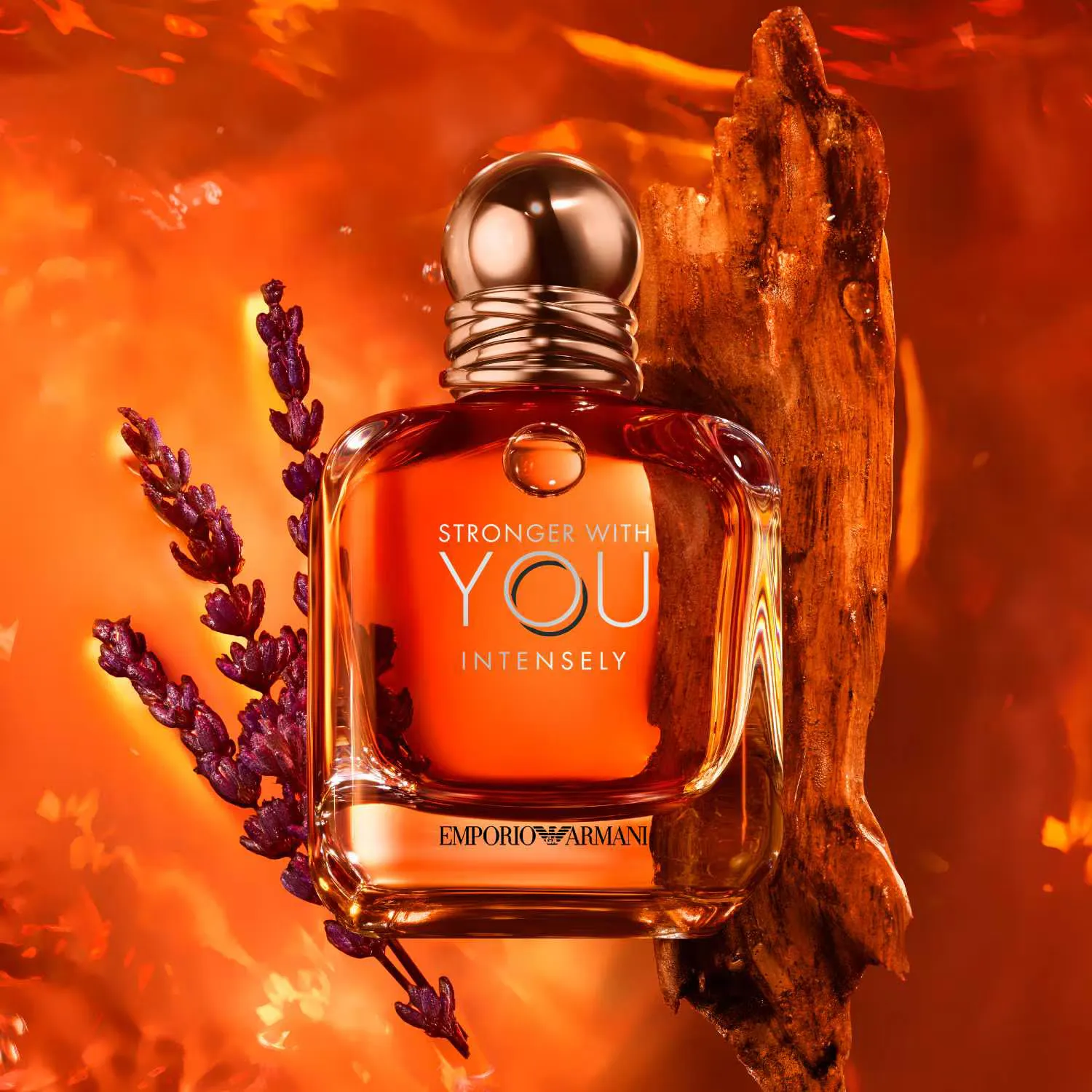 Armani Stronger With You